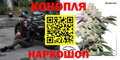 гидра Дубна