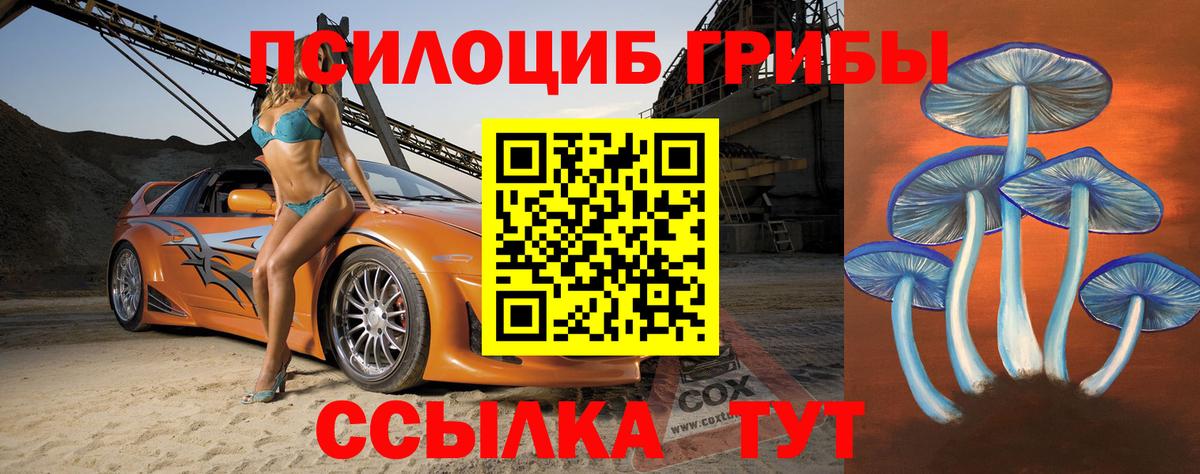 Кострома  Псилоцибиновые грибы Cubensis  Вход с VPN 